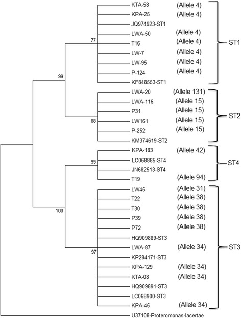 Fig. 2