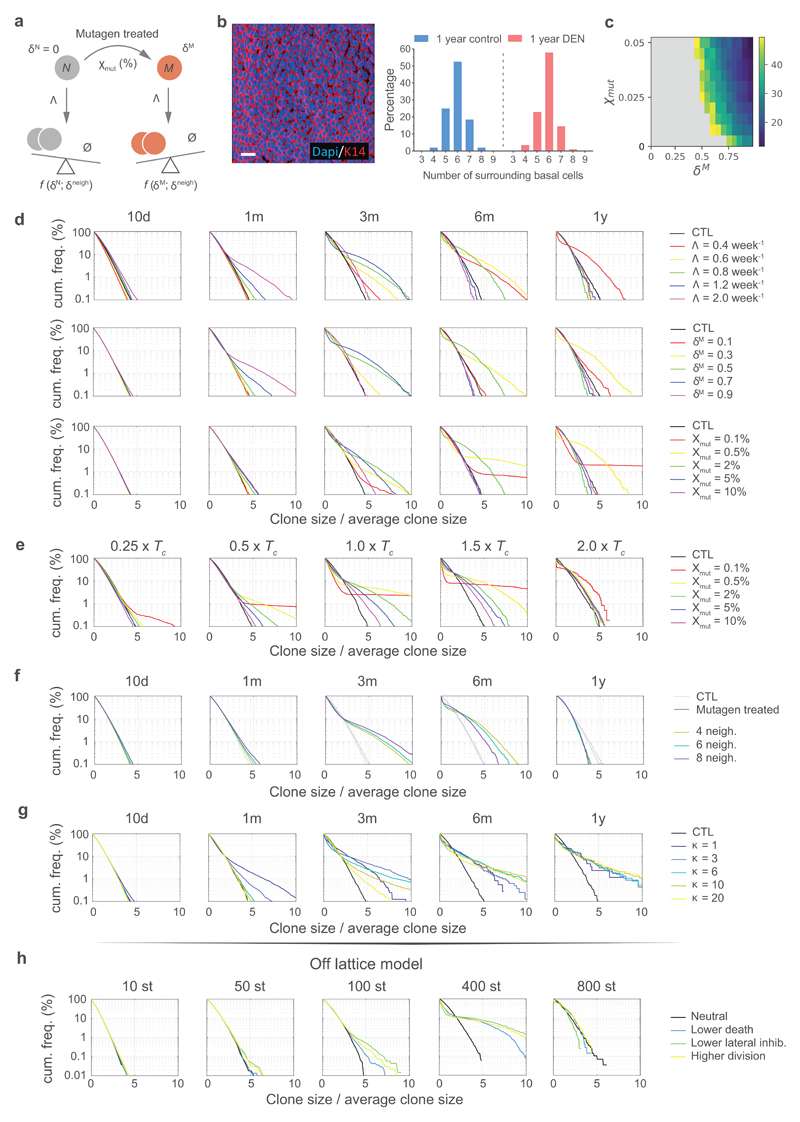 Extended Data 7