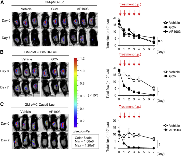 Figure 4