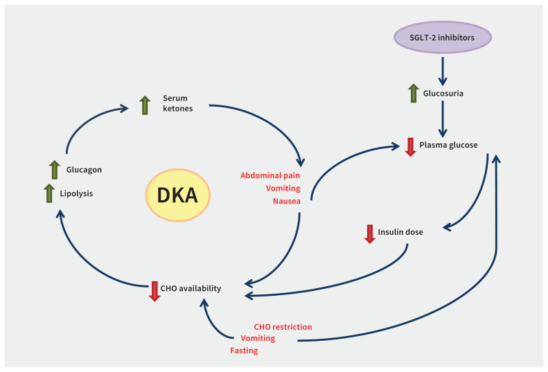 Figure 2: