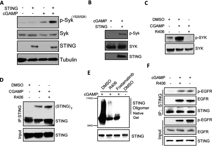 FIG 7