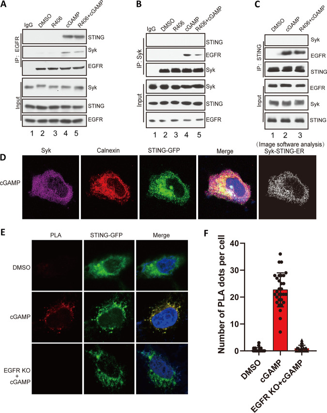 FIG 10