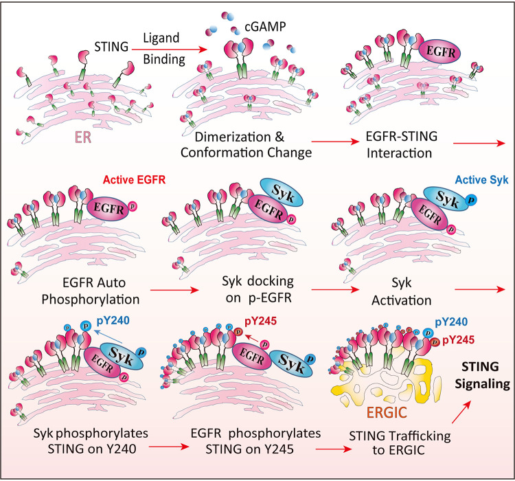 FIG 11