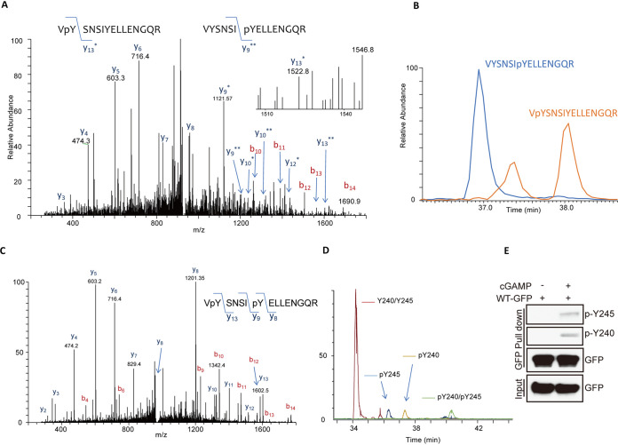 FIG 3