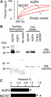 Figure 6.