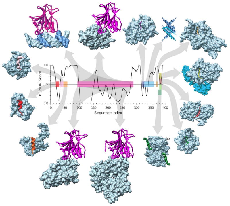 Figure 11