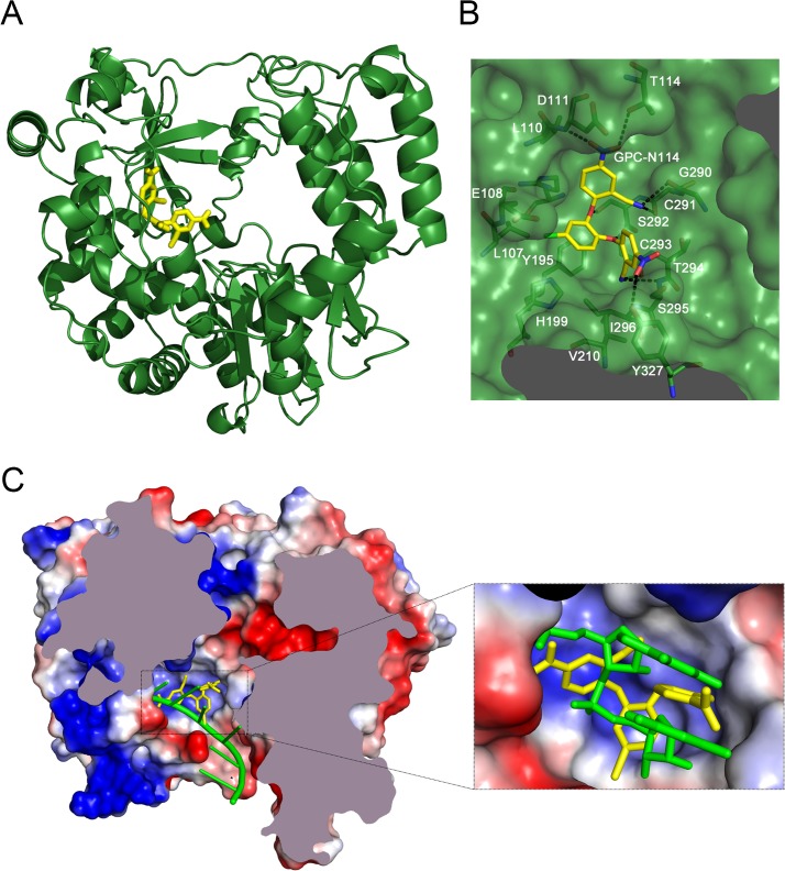 Fig 3