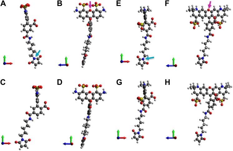 Figure 4—figure supplement 1.