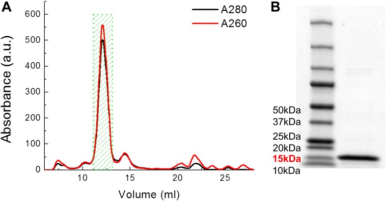 Figure 3—figure supplement 1.