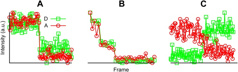 Figure 3—figure supplement 2.