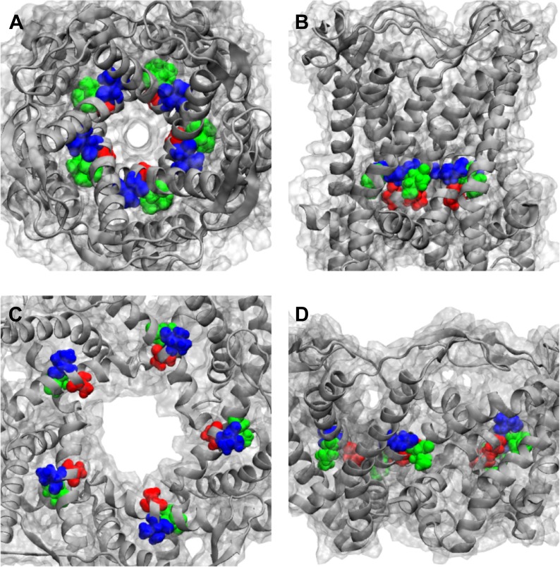 Figure 6—figure supplement 1.