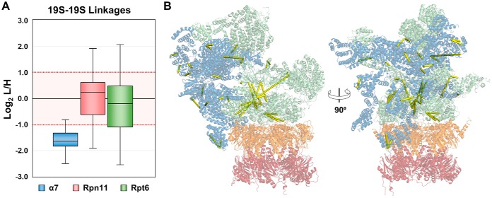 Fig. 6.