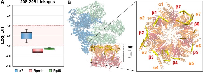 Fig. 5.