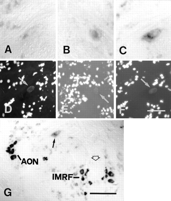 Fig. 9.