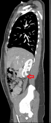 Fig 5