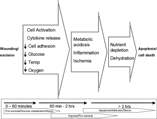 Fig. 14.