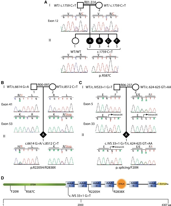 Figure 3