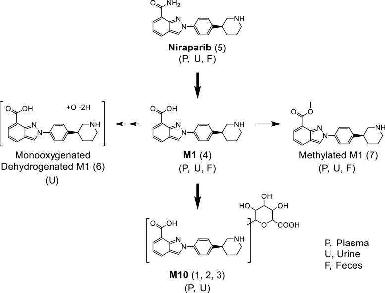 Fig. 9