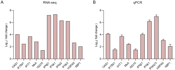 Fig. 7