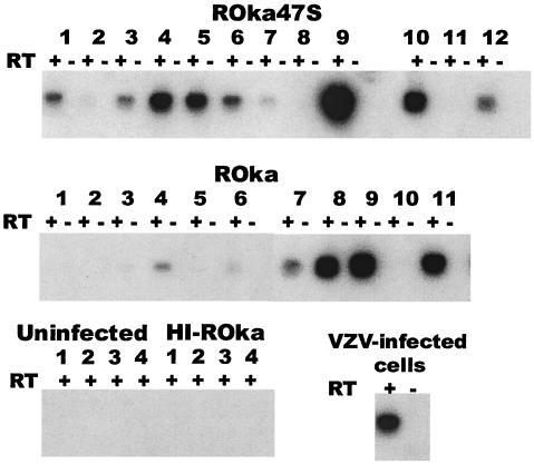 FIG. 3.