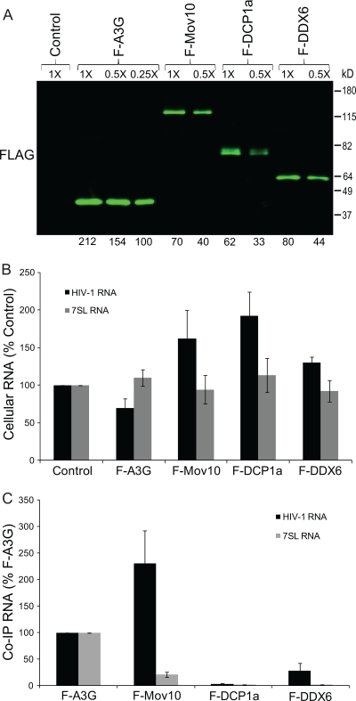 FIG. 7.