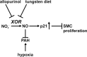 FIG. 9.