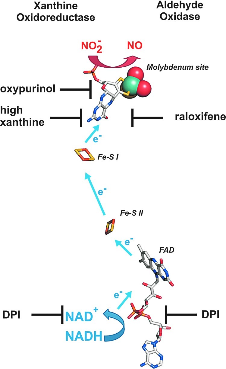 FIG. 7.