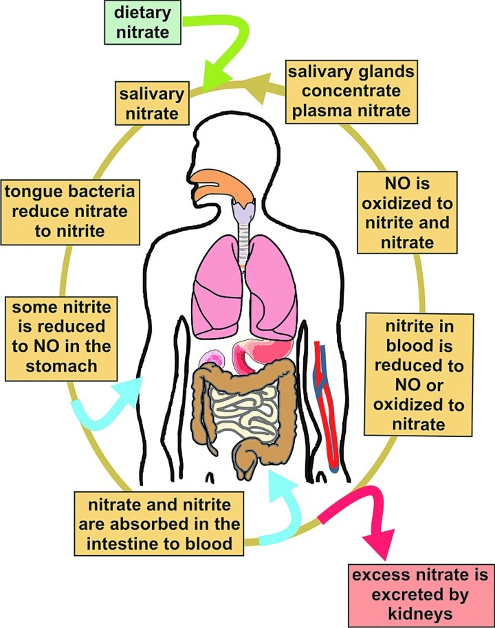 FIG. 3.