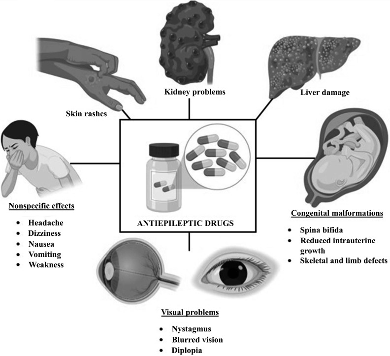 Fig. (1)