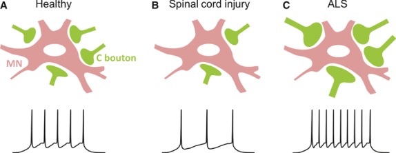 Fig. 4