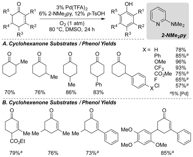 Scheme 5