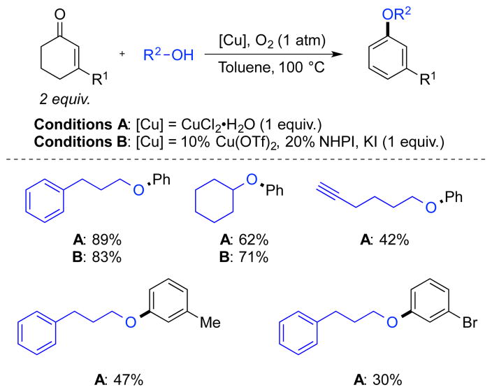 Scheme 9