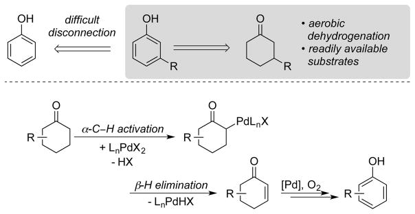 Scheme 4