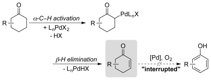 Scheme 12