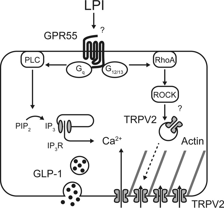 Figure 7.