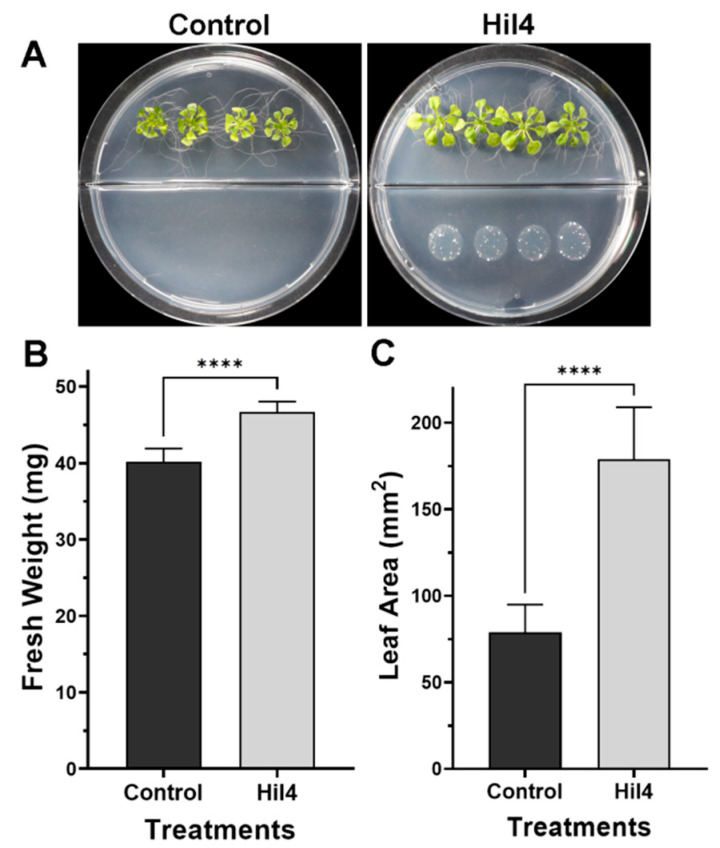 Figure 11