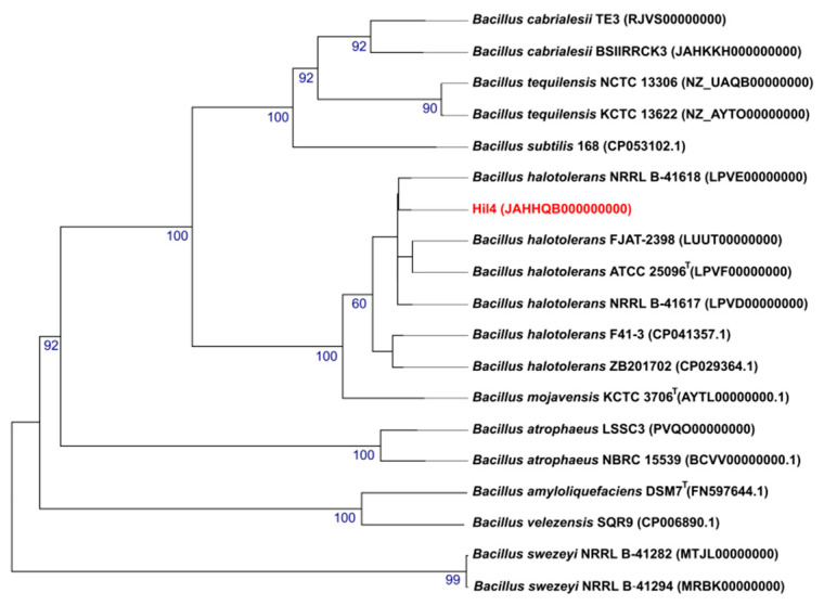 Figure 2