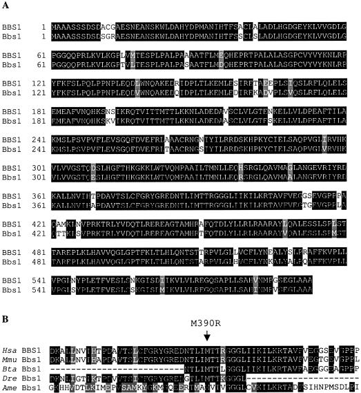 Figure  2