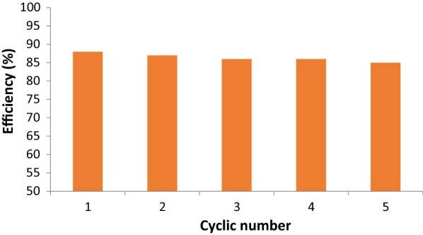 Fig. 10