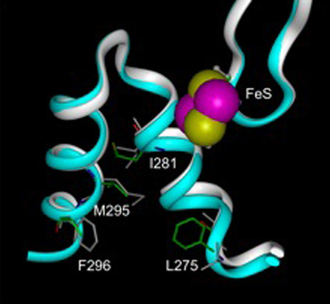 Fig. 5