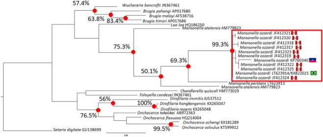 Figure 5