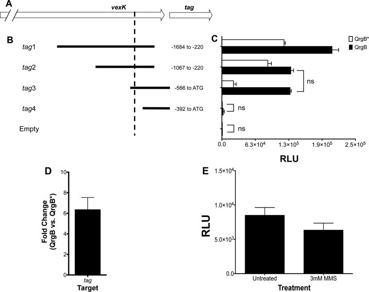 FIG 1