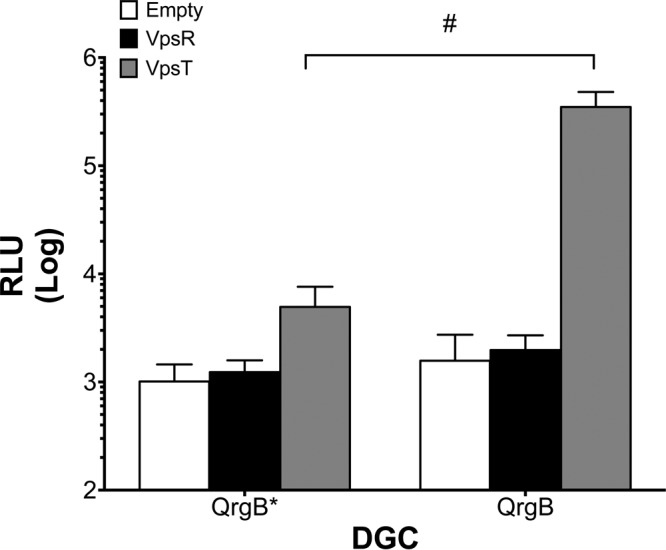 FIG 3