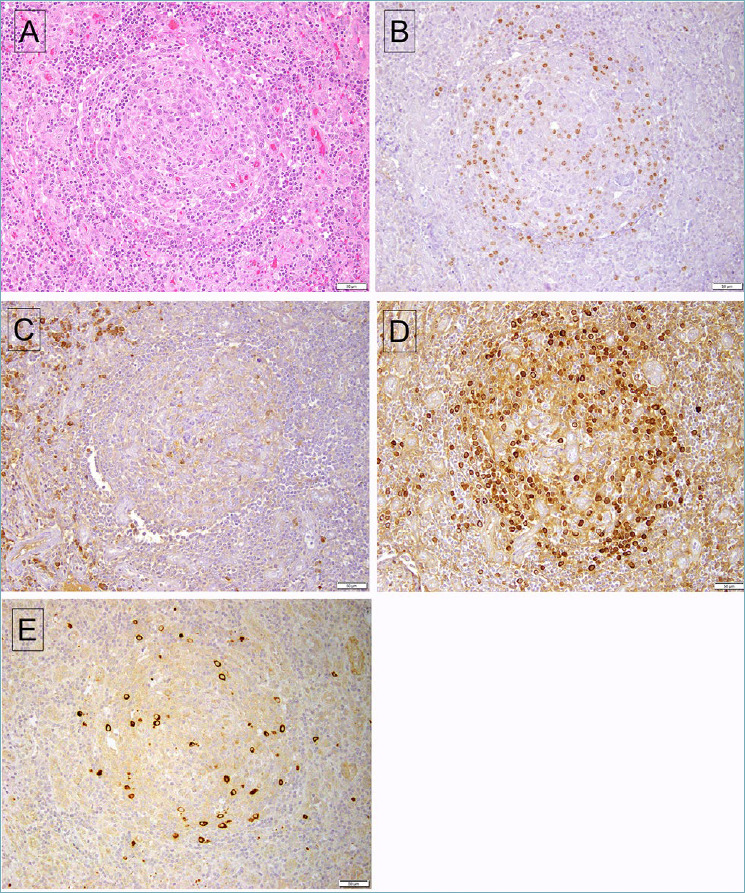 Figure 2.