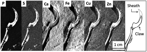 Fig. 4.