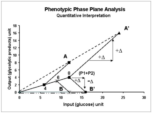 Figure 4b