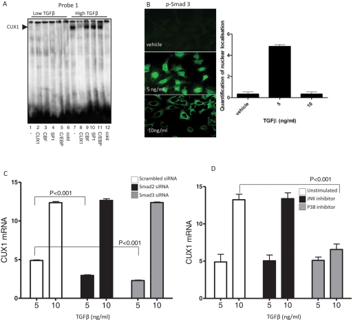 FIGURE 4: