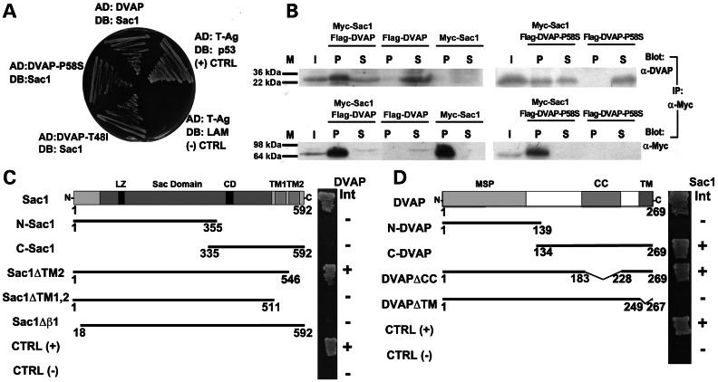 Figure 1.