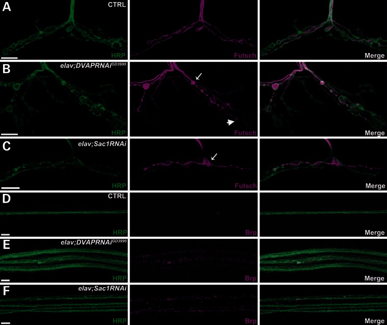 Figure 2.