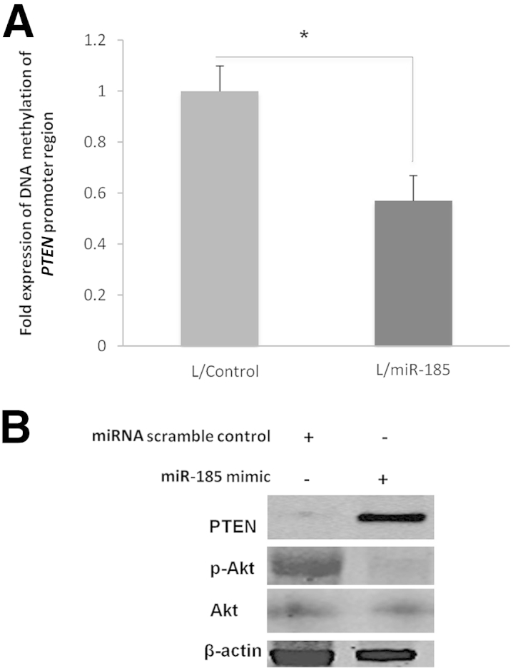 Figure 6